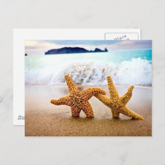 zeesterren paar briefkaart (Voorkant / Achterkant)