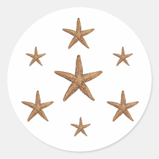 Zeesterren Patroon (geometrisch) Ronde Sticker (Voorkant)