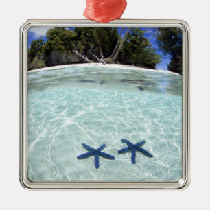 Zeesterren, Rock Islands, Palau 2 Metalen Ornament
