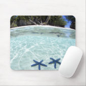 Zeesterren, Rock Islands, Palau 2 Muismat (Met muis)