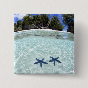 Zeesterren, Rock Islands, Palau 2 Vierkante Button 5,1 Cm