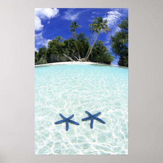 Zeesterren, Rock Islands, Palau Poster (Voorkant)
