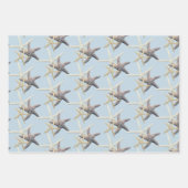 Zeesterren tinten blauw inpakpapier vel (Voorkant 2)