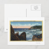Zeestralen en kanonstrand, Oregon Briefkaart (Voorkant / Achterkant)