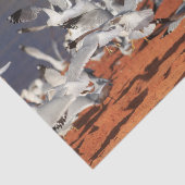 Zeestralen Tissuepapier (Detail)