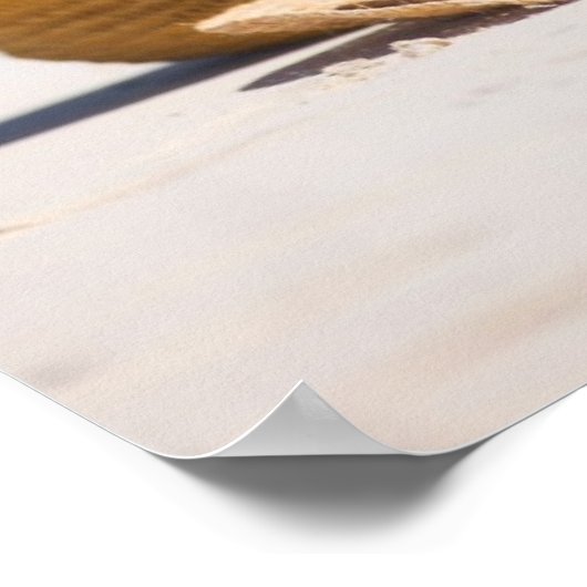 Zeestrand Poster (Hoek)