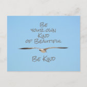 Zeeuw Be Je Eigen Soort Mooi Wees Aardig Briefkaart (Voorkant)