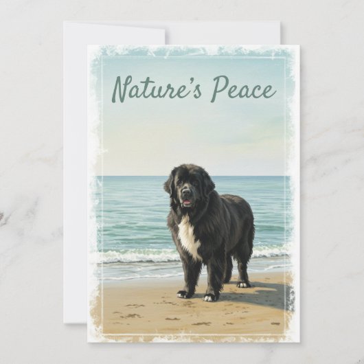 Zeeuwse Rust – Newfoundland Hond Natuur Kaart (Voorkant)