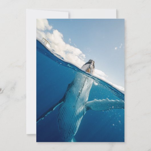 Zeevaartblauwe zeehond Boho Beach Weddenschap Save The Date (Achterkant)