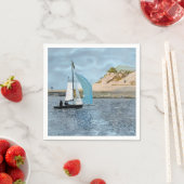 ZEEVAARTUIG SERVET (Insitu)