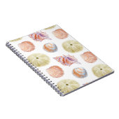 Zeevallige delen van zeeschelpen. WATERVERF i Notitieboek (Rechterzijde)