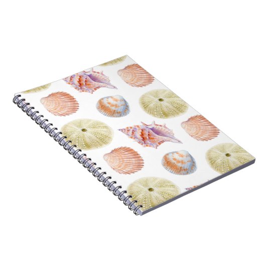 Zeevallige delen van zeeschelpen. WATERVERF i Notitieboek (Rechterzijde)