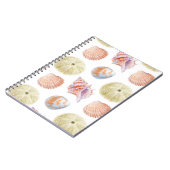 Zeevallige delen van zeeschelpen. WATERVERF i Notitieboek (Linkerzijde)