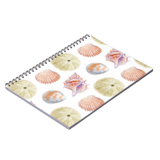 Zeevallige delen van zeeschelpen. WATERVERF i Notitieboek (Linkerzijde)