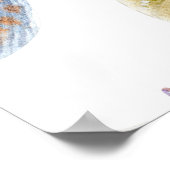 Zeevallige delen van zeeschelpen. WATERVERF i Poster (Hoek)