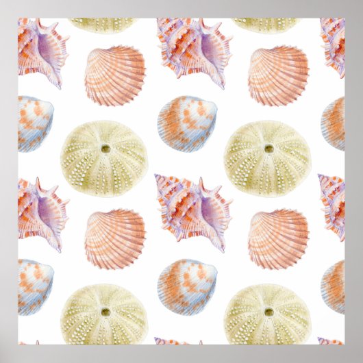 Zeevallige delen van zeeschelpen. WATERVERF i Poster (Voorkant)