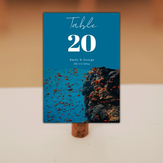 Zeevierrieistoestriffen voor het onderzeese Zee Kaart