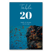 Zeevierrieistoestriffen voor het onderzeese Zee Kaart (Achterkant)