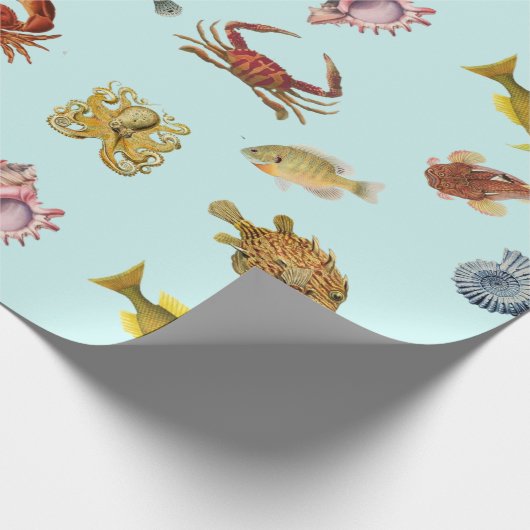  zeevis en Collectie van schaal- en schelpdieren Cadeaupapier (Hoek)