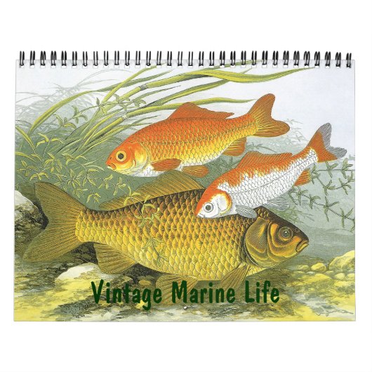 zeevis, oceanen en rivieren kalender (Hoes)