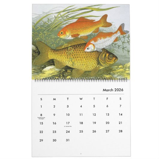  zeevis, oceanen en rivieren kalender (Mar 2026)