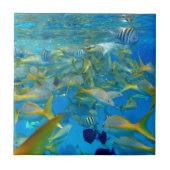 Zeevis Tegeltje (Voorkant)