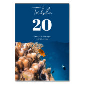 Zeevisriffen voor onderzeese Zee Kustriffen Wedden Kaart (Voorkant)