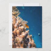 Zeevisriffen voor onderzeese Zee Kustriffen Wedden Save The Date (Achterkant)