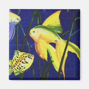 zeevissen, Fancy goudvis in de tank Magneet