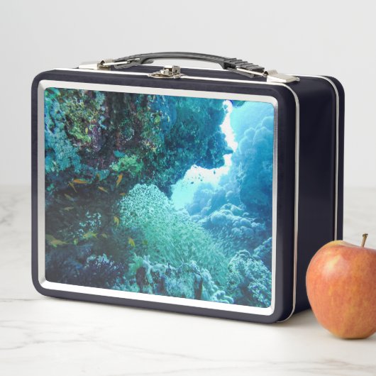 Zeevisserij onderwater Rood Zee Koraalrif (In situ)