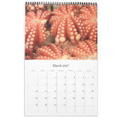 zeevoedsel 2026 kalender (Mar 2027)