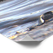 Zeevogel in Ocean Photo Poster (Hoek)