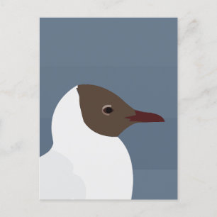 Zeevogel meeuw zeemeeuw briefkaart
