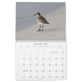 Zeevogels in Florida 2012 Kalender (Jan 2027)