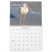 Zeevogels in Florida 2012 Kalender (Mar 2027)