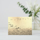 Zeevogels in sepia briefkaart (Staand voorkant)