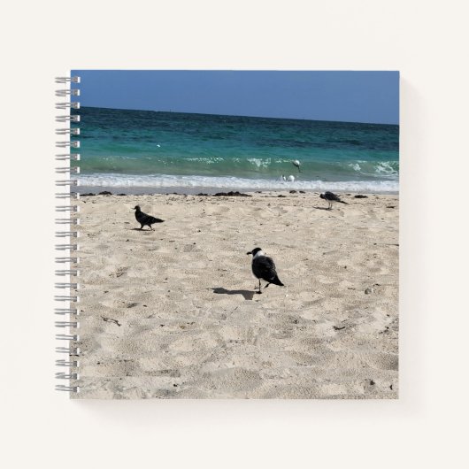 Zeevogels & Krabbels Notitieboek (Voorkant)