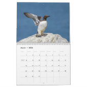 Zeevogels op Machias Seal Island 2021 Calendar Kalender (Mar 2026)