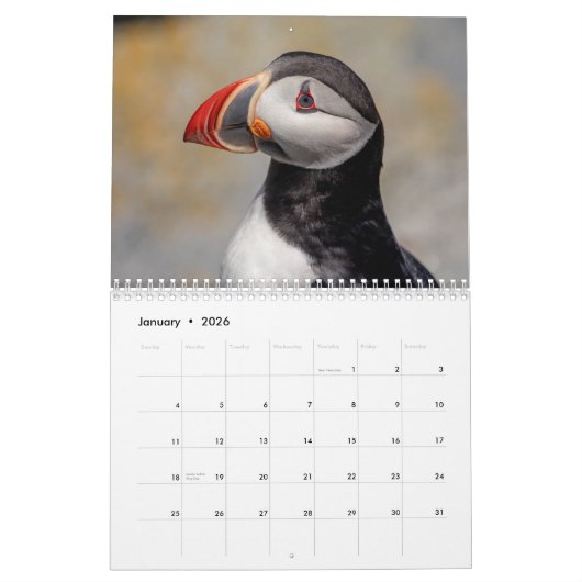 Zeevogels op Machias Seal Island 2026 Kalender (Jan 2026)