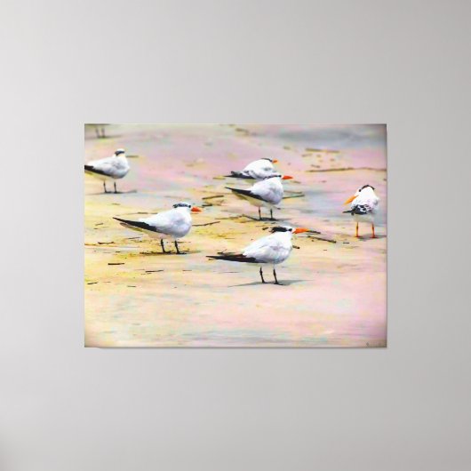 Zeevogels op Rustige Kust Canvas Afdruk (Voorkant)