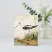  zeevogels, zeevogels (Staand voorkant)