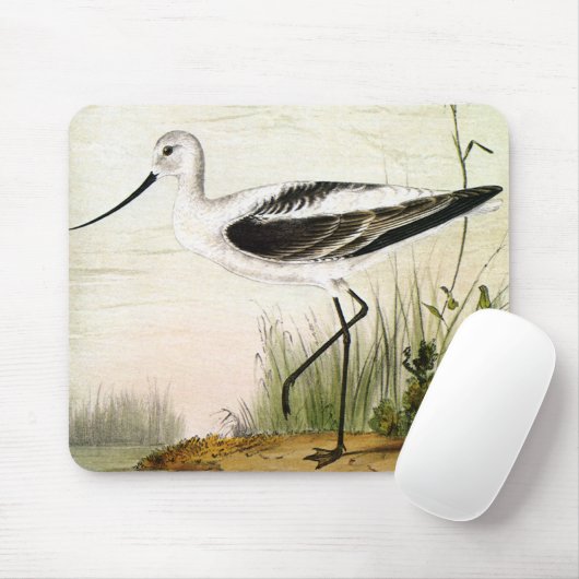 zeevogels, zeevogels muismat (Met muis)