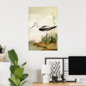 zeevogels, zeevogels poster (Thuiskantoor)