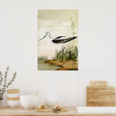 zeevogels, zeevogels poster (Keuken)