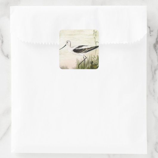  zeevogels, zeevogels vierkante sticker (Tas)