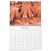 zeevruchten 2025 kalender (Mar 2027)