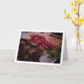 Zeevruchten in het Mercado Central, Valencia, Span Kaart (Gele Bloem)