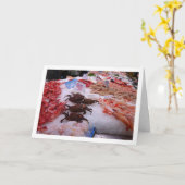 Zeevruchten in het Mercado Central, Valencia, Span Kaart (Gele Bloem)