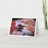 Zeevruchten in het Mercado Central, Valencia, Span Kaart (Voorkant)