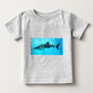 Zeewaterkwaliteit Roze blauwe walvishaai
